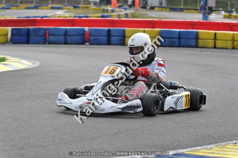 DSC_ (1230).jpg